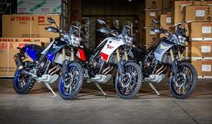 Tenere 700 Middleweight Champion 