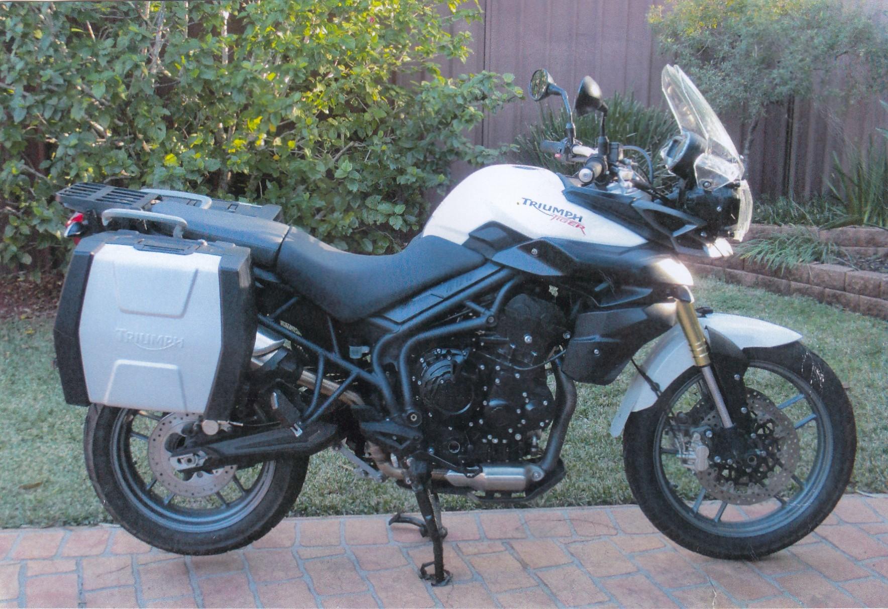 triumph dual sport