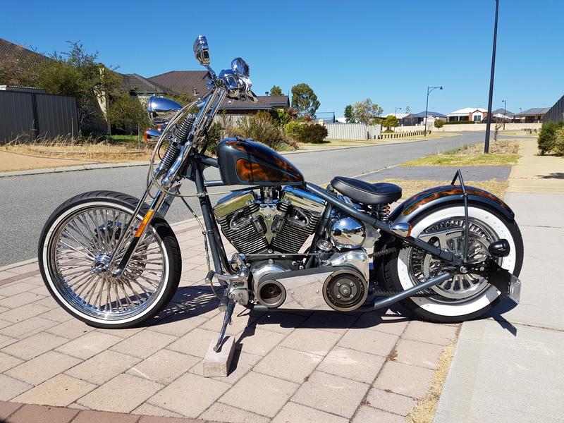 springer bobber