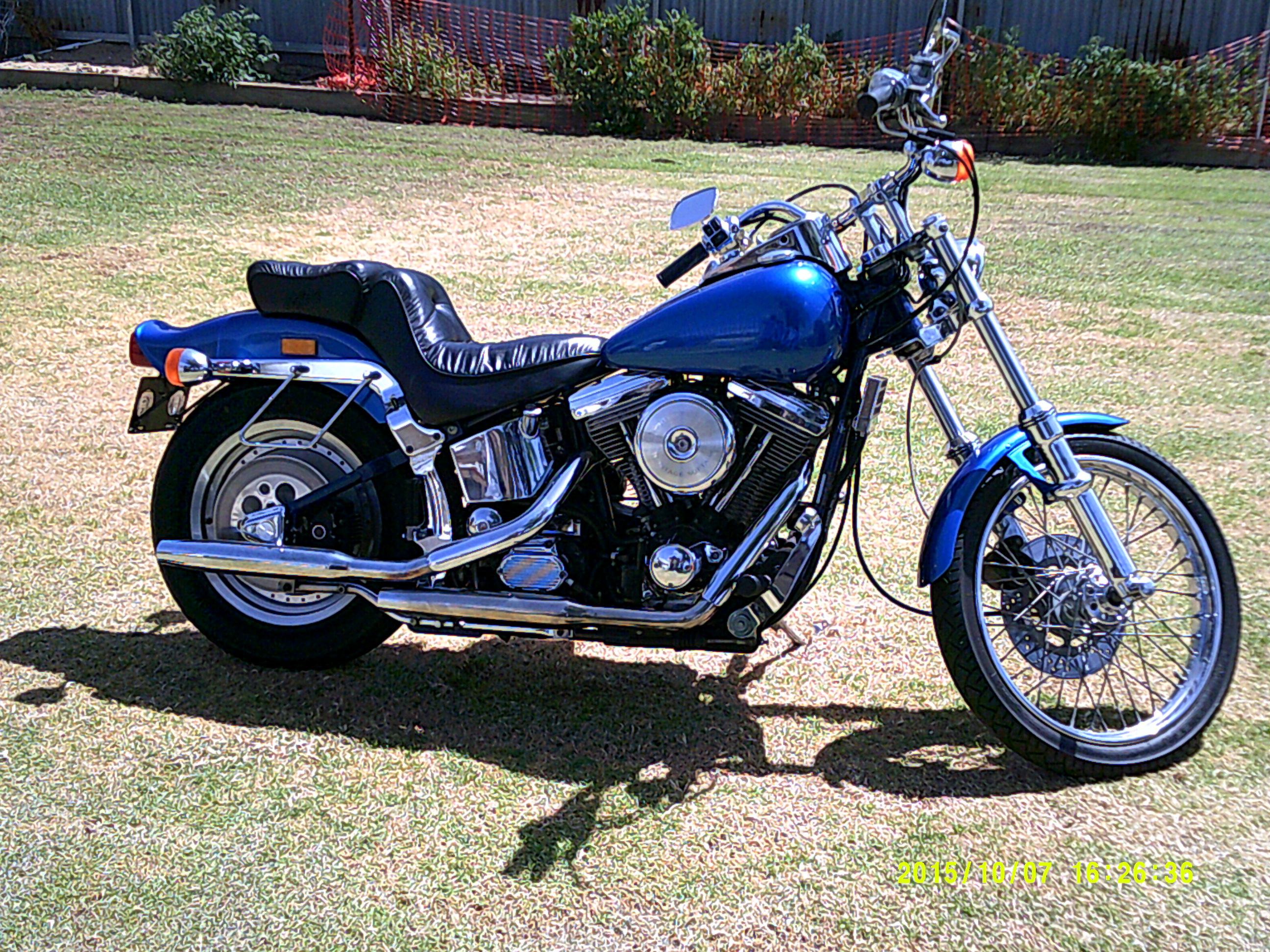 1987 Harley Davidson Softail Factory Sale, 57% OFF | pwdnutrition.com